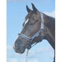 2024-10-20_132804_1624004229