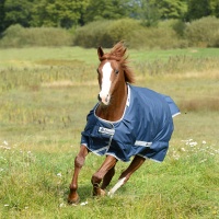 select-turnout-navy-9290_900