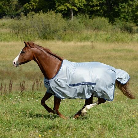 buzz-off-classic-0464_900_2046840249