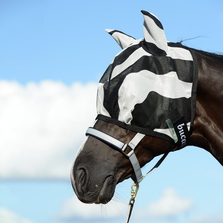 buzz-off-zebra-mask-0920_900