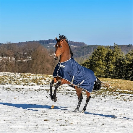 freedom-turnout-navy-1020_900_637835688