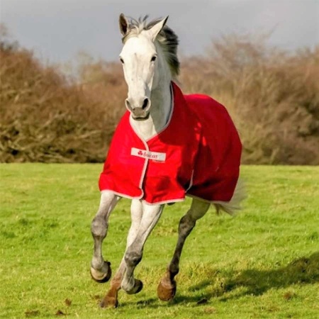 freedom-turnout-red-1-900_1562022738