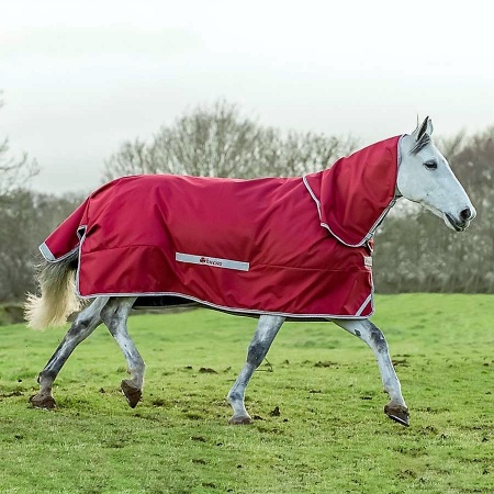 freedom-turnout-red-fn-2-900_824498195