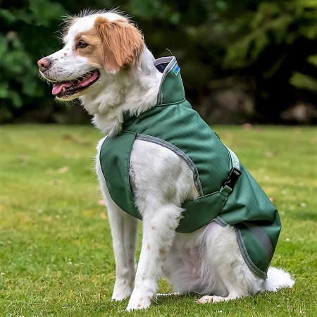 freedom_dog_rug_green_1_900