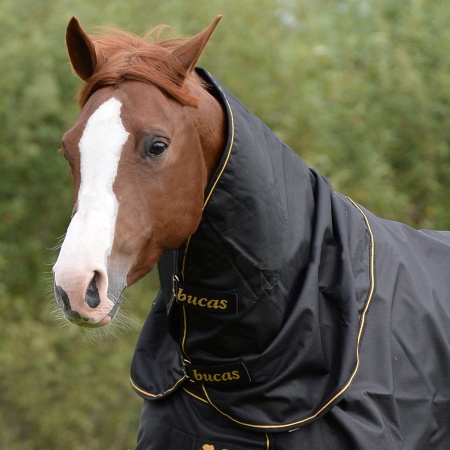 irish-turnout_combi-neck-black-gold-8770_900