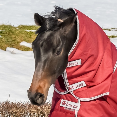 select-turnout_combi-neck-ruby-1634_900_476310465