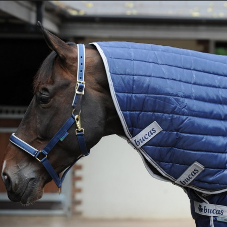 select_quilt_neck_2_900