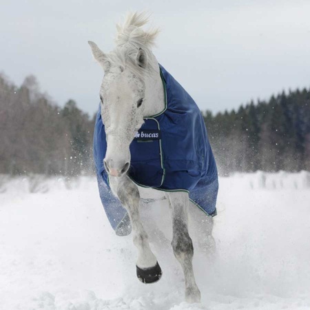 smartex-extra-blue3_900