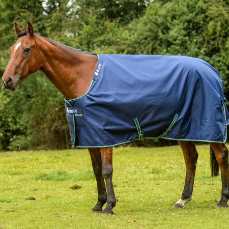 smartex_blue_8198_900